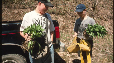 Tending the Commons: Folklife and Landscape in Southern West Virginia