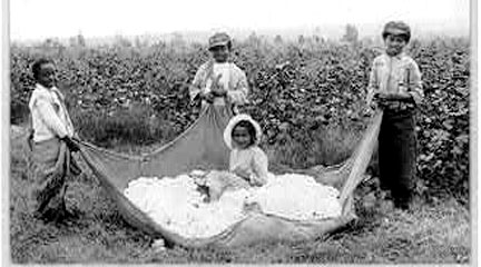 Labor Unions in the Cotton Mills
