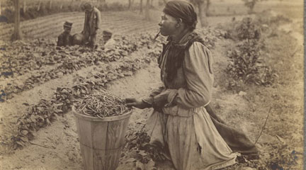 Families on the Farm