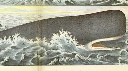 When Whales Lit the World
