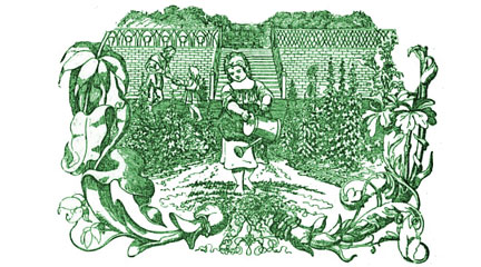 The Garden of Infants