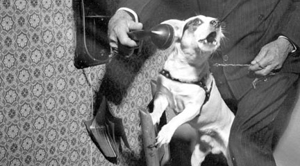 Early Telephone Etiquette