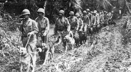 Pictures of World War II