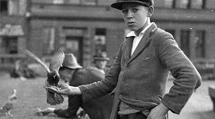 Negative, Boy with pigeons. . . , 1935, Sam Hood, Flickr Commons