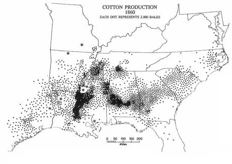 The Role Cotton Played in the 1800s Economy