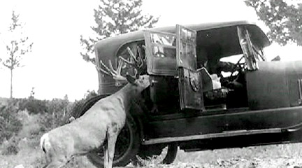 Video still, George Wright's Legacy, 2009, National Park Service.