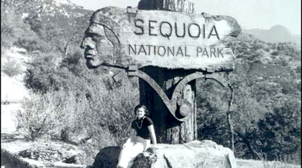 Photograph, Sequoia National Park, 1936, National Park Service.
