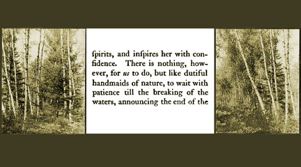 Maine birches, 1906, Library of Congress, and text from Midwife's Monitor, 1800