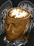 MRI Scan, human brain, 23 Nov 2006, Kenny Stoltz, Flickr CC
