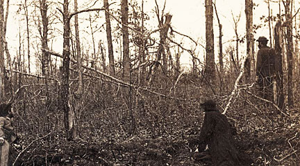 woods blown apart by artillery fire at Chancellorsville