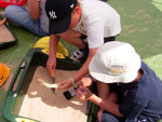 Photo, National Archaeology Day 3, Aug. 8, 2005, Wessex Archaeology, Flickr