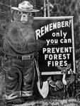 Photo,  Smokey Bear Fire Prevention sign along State Highway 70, Jul. 1960, NARA