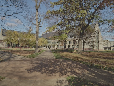 Five sidewalks meet at one point and between them are small green spaces with trees and fallen autumn leaves.