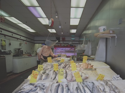 Fish arranged on tables in the market as a few people in the background survey the various fish.