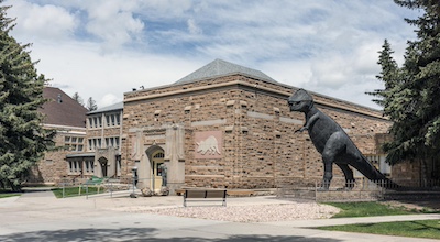 A tall dark, potentially metallic statue of a Tyrannosaurus Rex outside of a tan building.