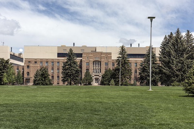 Large tan building visible beyond a grass field with evergreen trees and one overhead light pole.