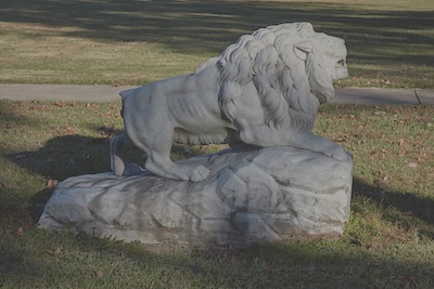 Outdoor sculpture of a lion on a rock. The sculpture is white, and it sits in the grass. 