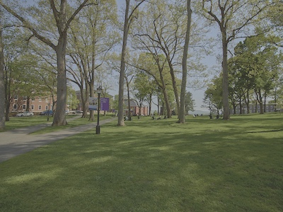 Wide green field with tall trees. A sidewalk goes through the park with black street lamps.