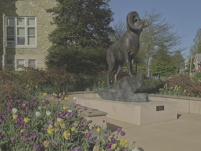 Outdoor garden/courtyard. Yellow and purple flowers line the perimeter. A ram statue is in the center of the courtyard, looking away from photographer.