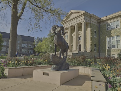 Outside photograph of a ram statue situated in front of a large yellow building. The building has a singular gabled roof with four marble columns lining the front.