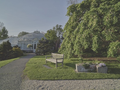 Mixed terrain of grass, paved road, and gravel road. A small lawn contains a bench, a tree, and a few stones. In the distance is a greenhouse with a glass, domed ceiling. 