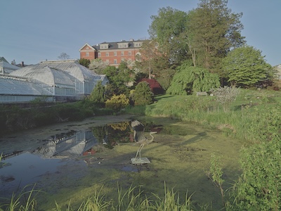 In the foreground, there is a pond with moss growing over the top and a flamingo statue in the center. The pond is surrounded by grass and trees, as well as the conservatory building on the left side. A large brick building sits at the back of the photo on a hill.