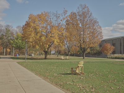 View of a green space on campus next to a sidewalk. A number of trees are in this space and their leaves are orange.