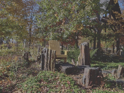 A yellow wooden chair sits on a wide tree stump surrounded by fallen leaves in a preserved nature section of the campus.