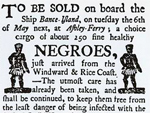 Newsprint, Sale of Africans from the Windward Coast, New York Public Library