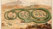 Illustration, The American Rattle Snake, 1782, New-York Historical Society. Illustration, The American Rattle Snake, 1782, New-York Historical Society.