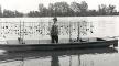 Photograph, Mussel Harvester, Pearl, Illinois, Marshall County Historical Society. Photo, Mussel Harvester, Pearl, Illinois, Marshall County Historical Society.