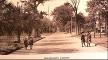 Oglethorpe Avenue photogravure, Savannah, GA Oglethorpe Avenue photogravure, Savannah, GA