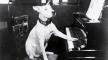Photo, Dog, Ernest Schelling, New York Philharmonic Digital Archives Photo, Dog, Ernest Schelling, New York Philharmonic Digital Archives