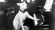 Photo, Dog, Ernest Schelling, New York Philharmonic Digital Archives