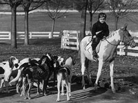 Photo, "The Old Dominion's youngest M.F.H. " c. 1939