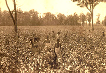 Photo, Elizabeth Johnson Harris, African-American Women