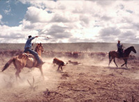 Photo, Dan Martinez and Bob Humphrey, Quinn River Line Camp, Nv, June 1978